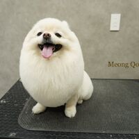 画像1625