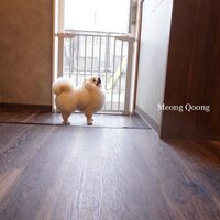 画像1629