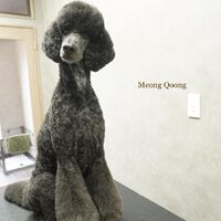 画像1671