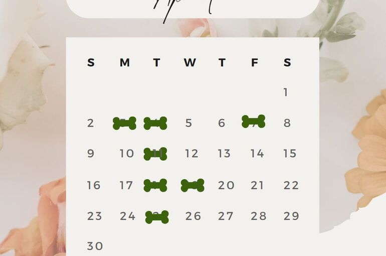 4月