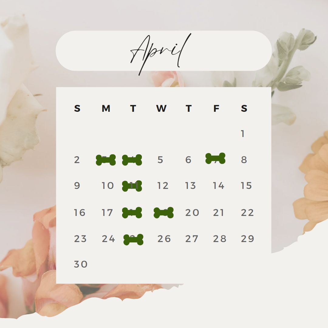4月