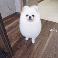 画像1731
