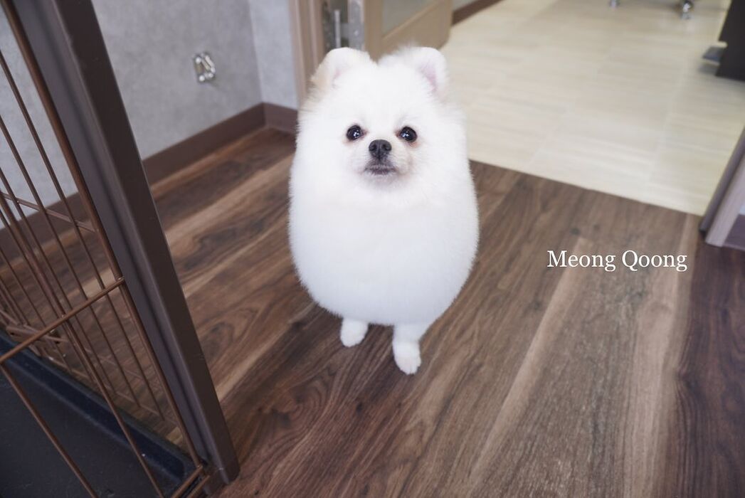 画像1731