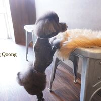 画像1758