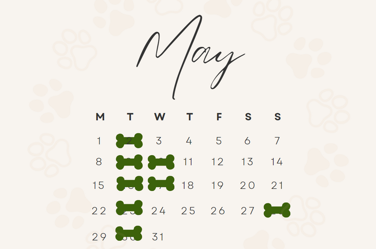 5月休み
