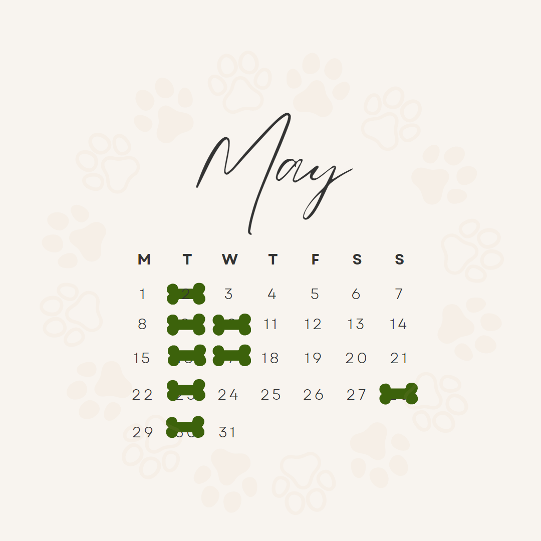 5月休み