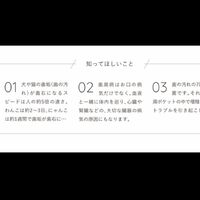画像1863