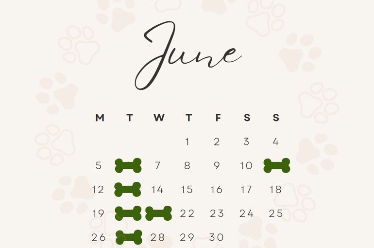 6月休み
