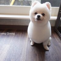 画像2080