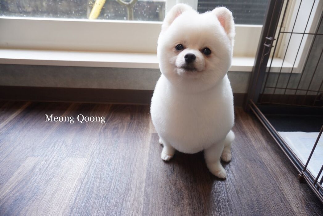 画像2080