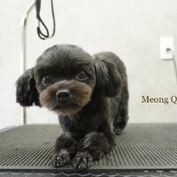 画像2105