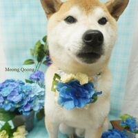 画像2172