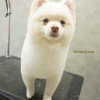 画像2180