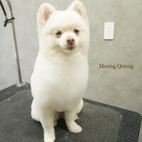 画像2181