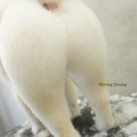 画像2183
