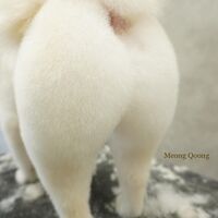 画像2184