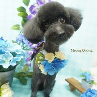 画像2199
