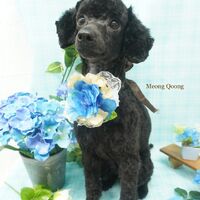 画像2211