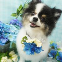 画像2228