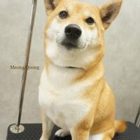 画像2233