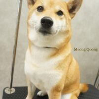 画像2234