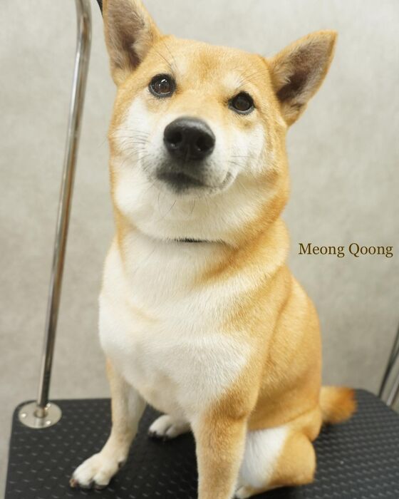 画像2234