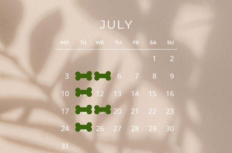 ７月