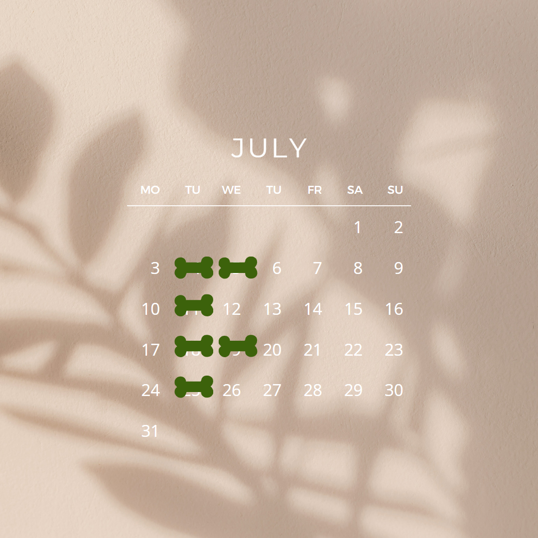 ７月