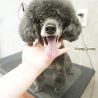 画像2237
