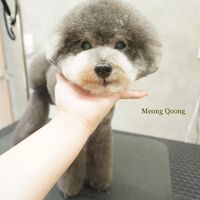 画像2302