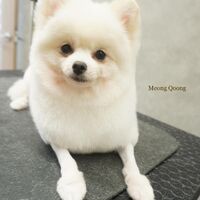 画像2317