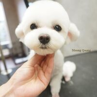 画像2327