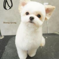 画像2336