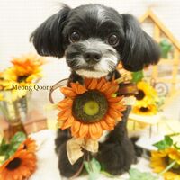 画像2349