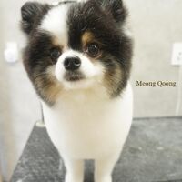 画像2360