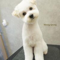 画像2377