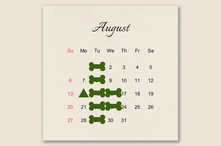 8月