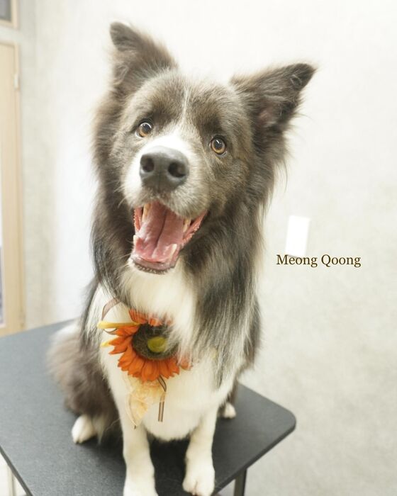 画像2402