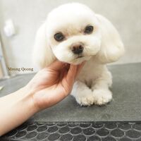 画像2409
