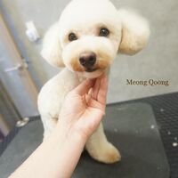 画像2433
