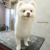 画像2470