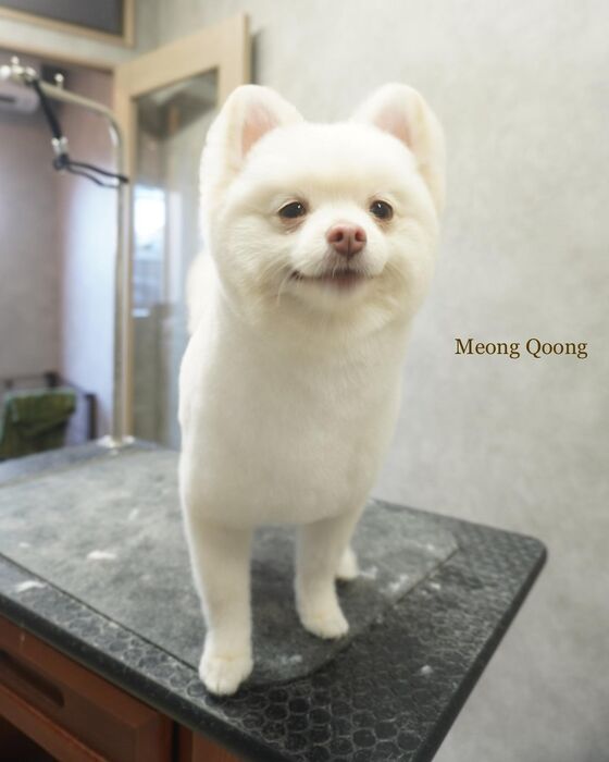 画像2470