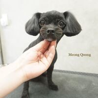 画像2477