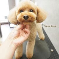 画像2487