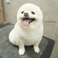 画像2508