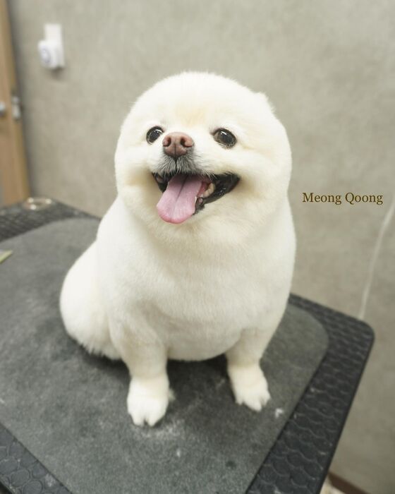 画像2508