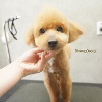 画像2516