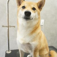 画像2525