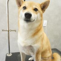 画像2526