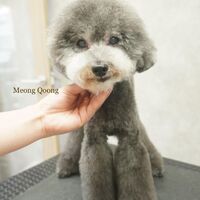 画像2550